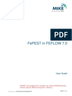 FePEST User Guide PDF