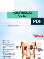 Patofisiologi Ginjal: Dr. Aulia Syavitri D