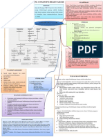 Mindmaping CHF