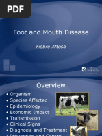 Foot and Mouth Disease: Fiebre Aftosa