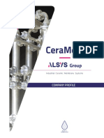 CeraMem-Alsys Group Company Profile