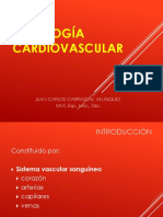 Histologia Cardiovascular