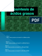 Biosíntesis Ácidos Grasos 2019