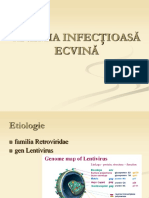 31809766-Anemia-Infectioasa-Ecvina.pdf
