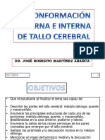 c7 Conformacic3b3n Externa e Interna Del Tallo Cerebral