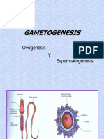 01111gametogenesis-ppt-100827210823-phpapp01