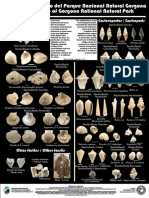Posterfosilesgorgona PDF