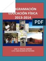 PROGRAMACIÓN DE EDUCACION FISICA 2013 2014.pdf