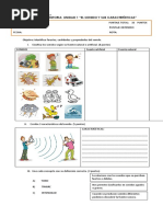 Prueba Naturaleza Tercero Sonido