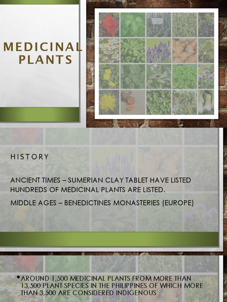 Medicinal Plants | PDF | Herbalism | Capsicum