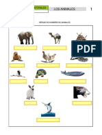 BACHILLERATO ANIMALES.pdf