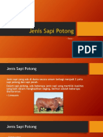 Jenis Sapi Potong