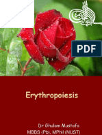 Erythropoiesis Lec 1-Physio