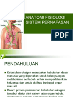Anatomi Fisiologi Sistem Pernafasan