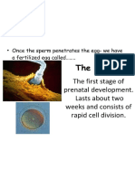 Developmental Psy PDF