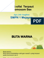 6 Pewarisan Sifat Buta Warna - Copy