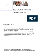 Asuhan Persalinan Normal: Gambaran Umum Apn