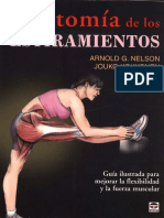 Anatomia Estiramientos