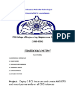 "Elastic File System": PES College of Engineering, Nagsenvana, Aurangabad (2019-2020)