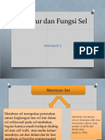 Struktur Dan Fungsi Sel