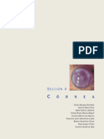 queratitis.pdf