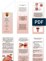 Información sobre el sentido del gusto