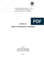 Introduccion a la Ingenieria Ramas y Funciones.pdf
