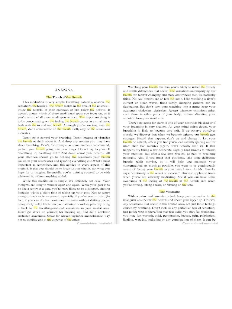 Avm PDF | PDF