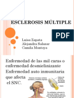 1esclerosis Múltiple