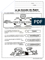 atividades-sobre-os-estados-fisicos-da-agua.pdf