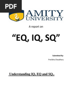 "EQ, IQ, SQ": A Report On