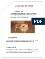 Formolizacion Del Perro