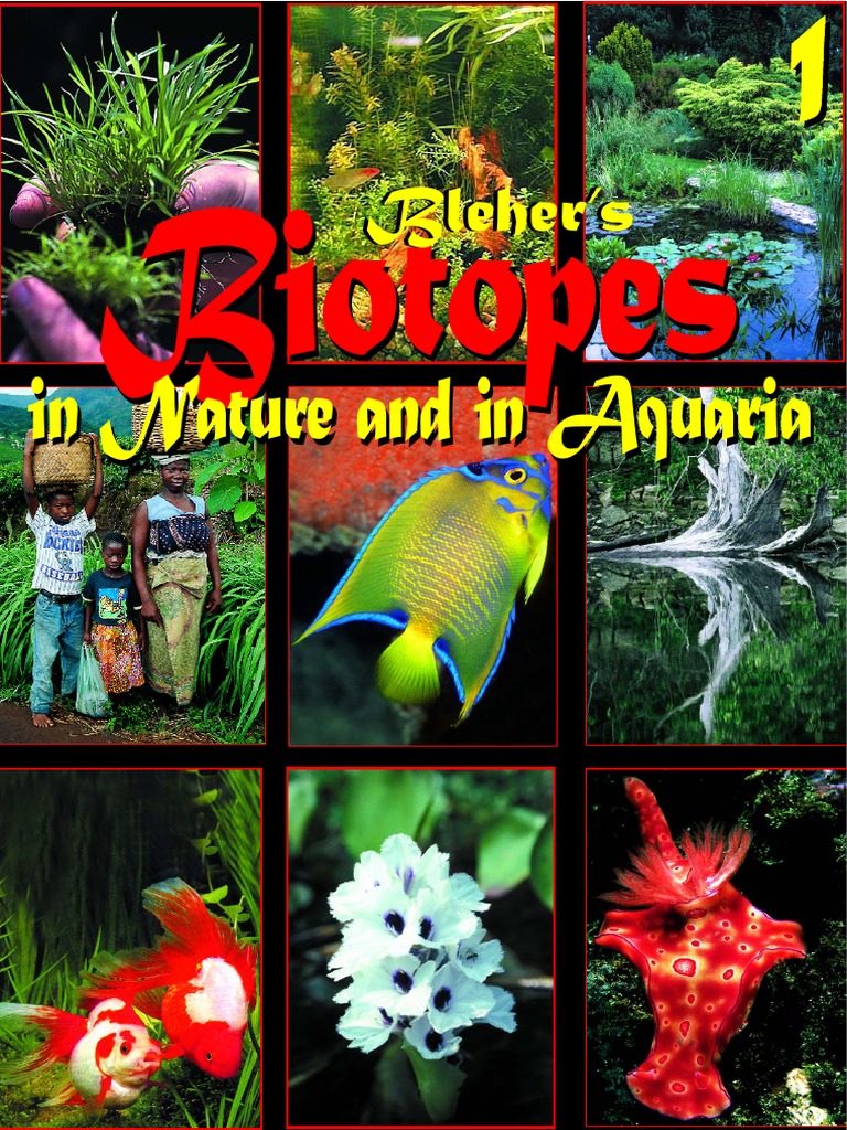 Blehers Biotopes-1, PDF, Aquarium
