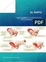 TEMA 2 El Parto