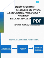 La Fijación de Hechos y Objeto Del Litigio - Depuración Probatoria - Sentencia