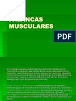 Palancas Musculares