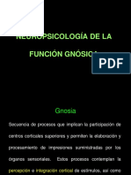 practica-neuropsicologia-general-practica-agnosias.pdf