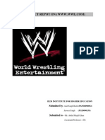 WWE Website Analysis