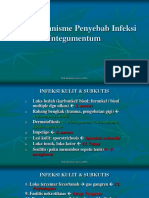 Bakteri Penyebab Infeksi Integumentum 2018 PDF