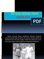 Sistem Gerak Pada Manusia