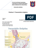 Practica 7 Transmición Sináptica