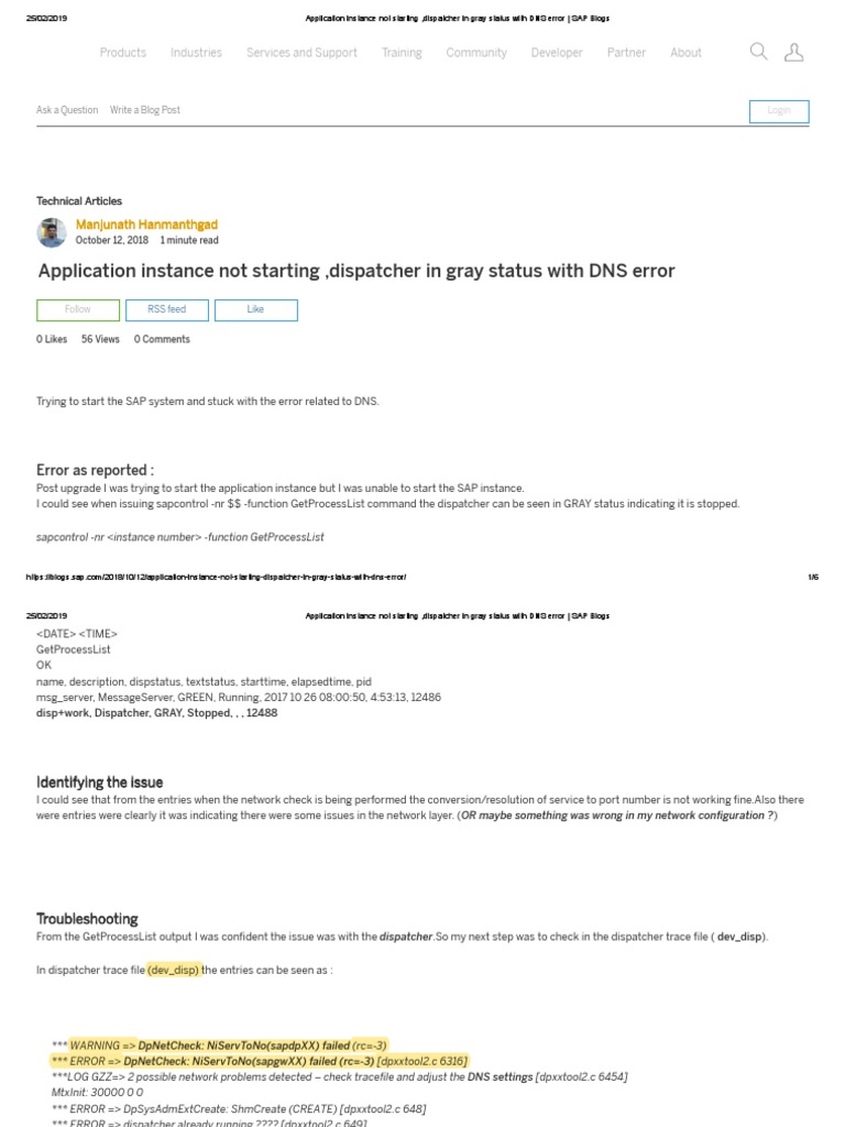 Application Instance Not Starting, Dispatcher in Gray Status With DNS