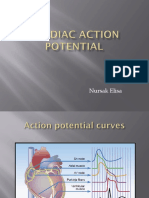 Cardiac Action Potensial