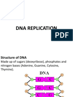 1 (15) DNA Repliation&Reverse Transcription (64p Ed2015)