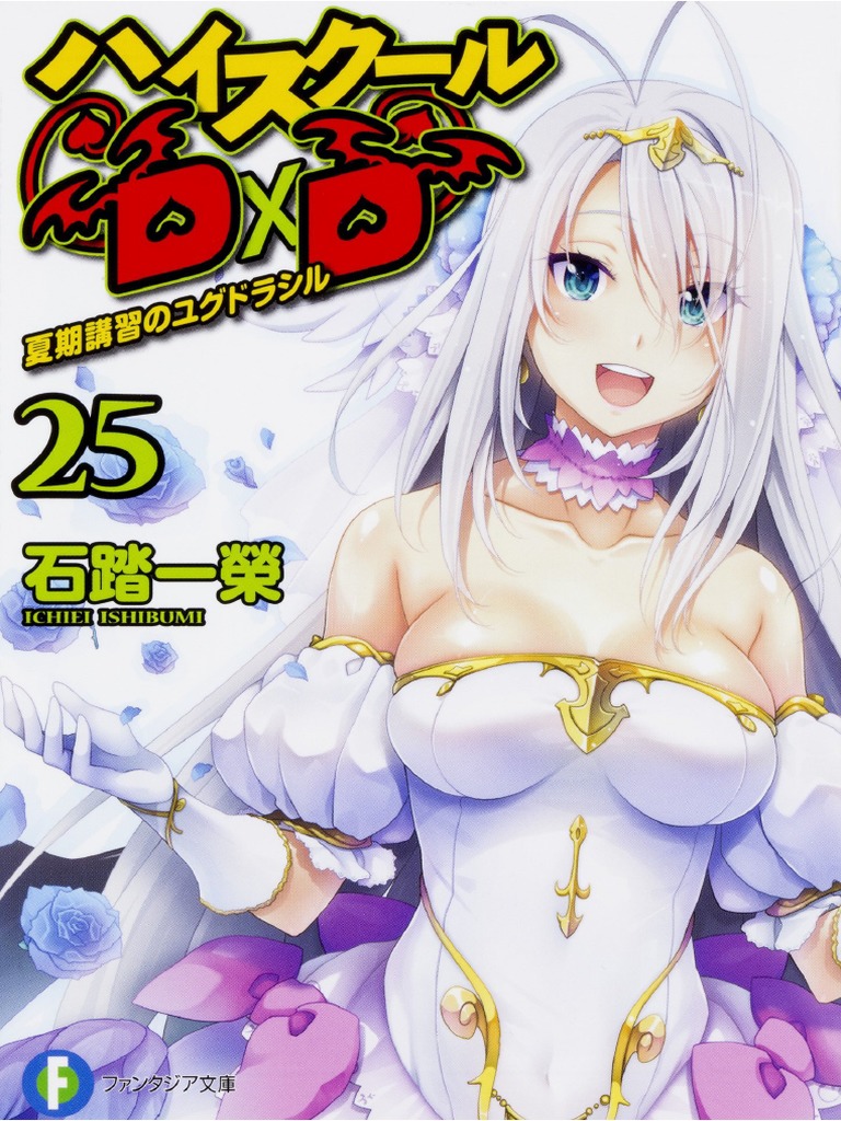 High School Dxd Light Novel SC Vol 09