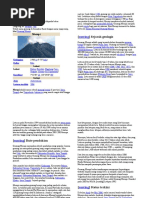 Download Gunung Merapi by Ekafy Candra SN41991248 doc pdf