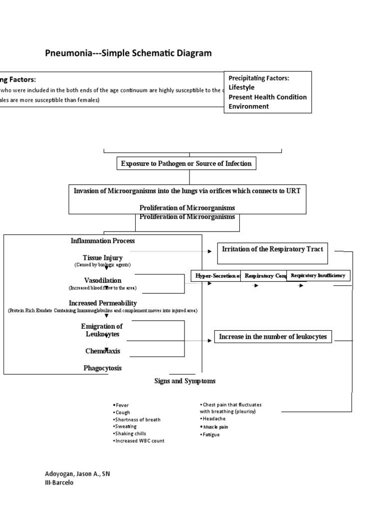 pathophysiology of community-acquired pneumonia diagram