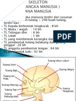 Biomedik 1 Sistem Skeleton Dan Ekstremitas U1