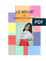 OJT Report: Christelle Joy B. Ascuna