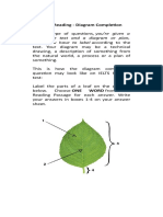 IELTS Reading Diagram Completion Tips